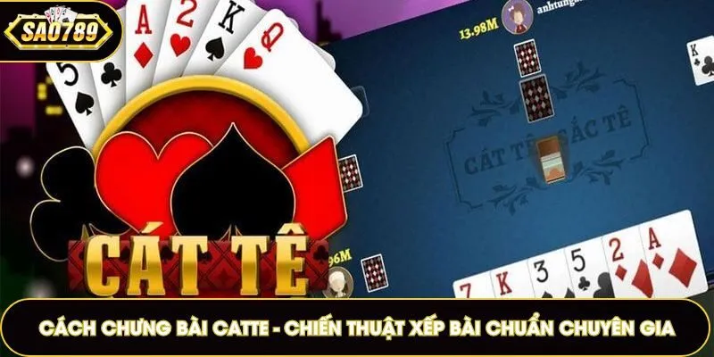 Cách chưng bài Catte