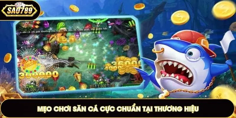 Mẹo chơi săn cá cực chuẩn tại thương hiệu
