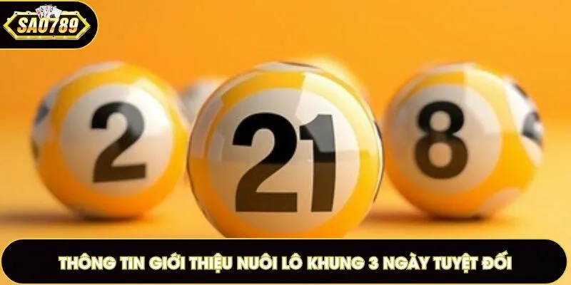 Thông tin giới thiệu nuôi lô khung 3 ngày tuyệt đối